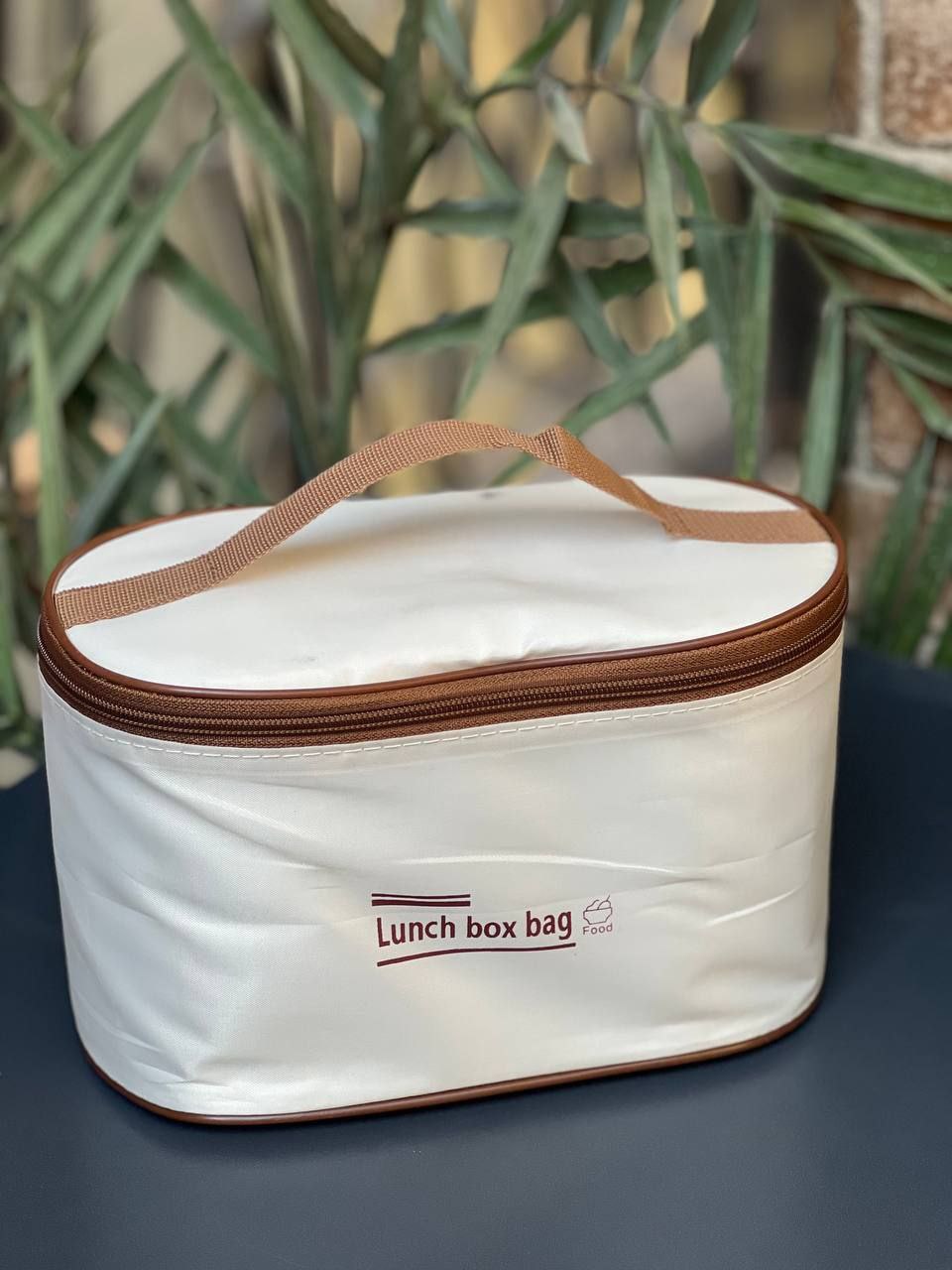 علبة طعام حرارية-Lunch box