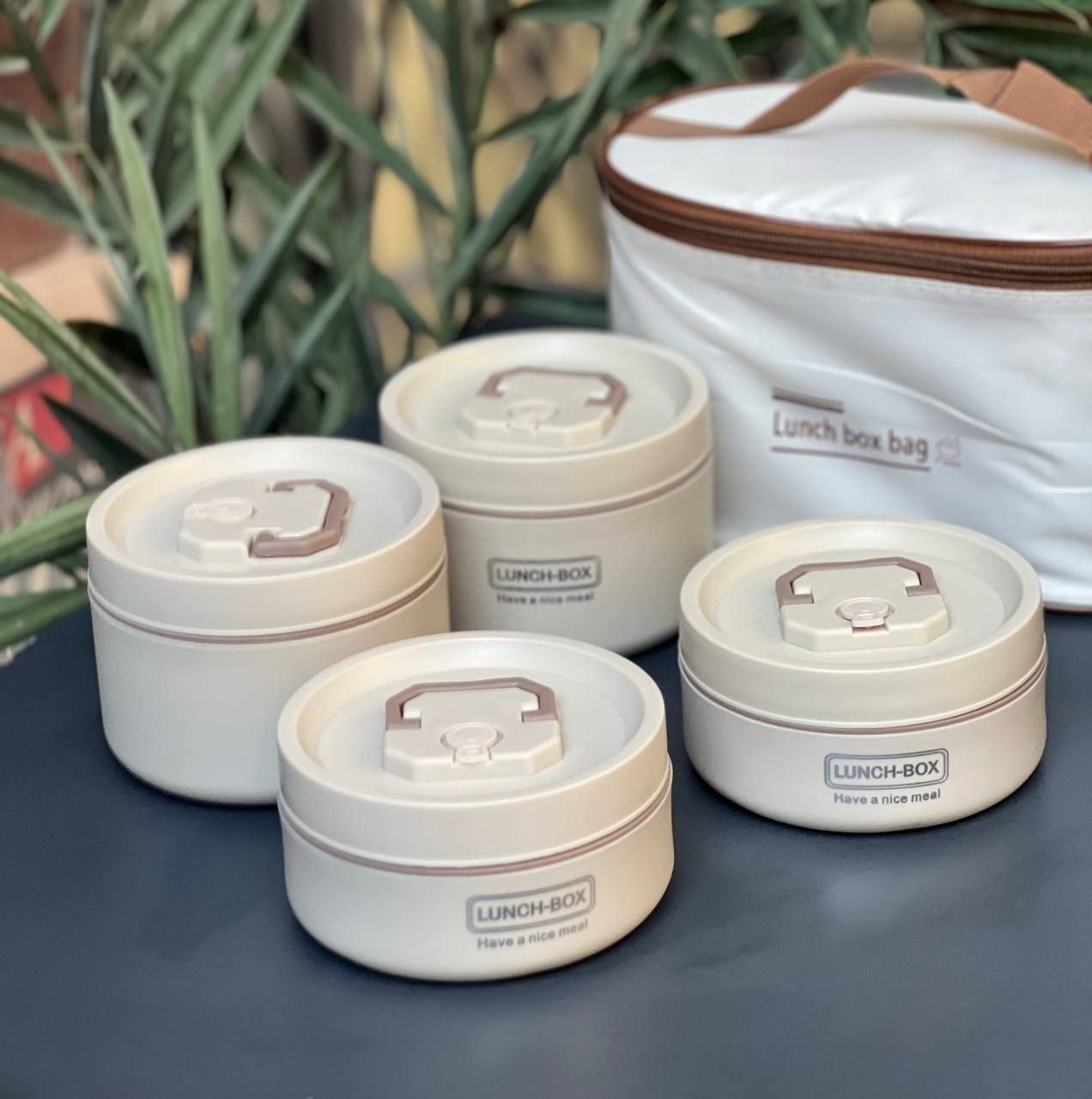 علبة طعام حرارية-Lunch box